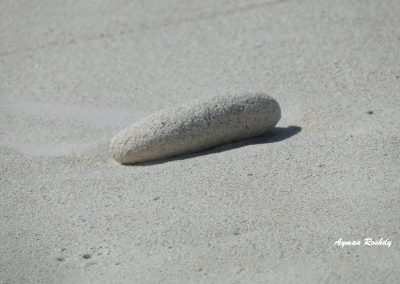Sandy Rock
