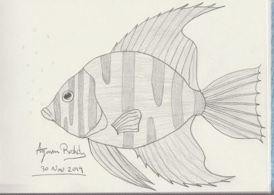 Sea fish