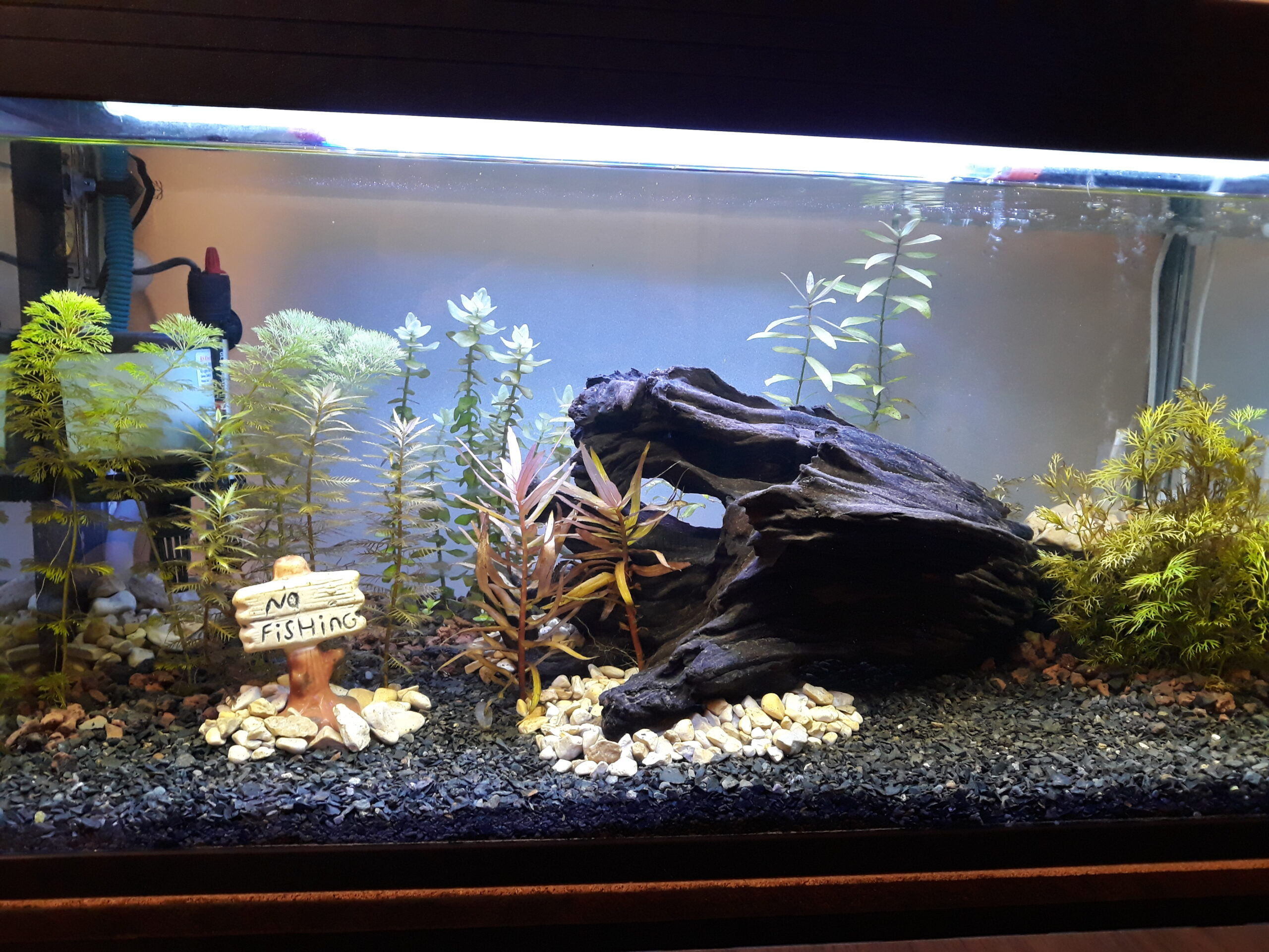 Another very early aquascape Another very early aquascape