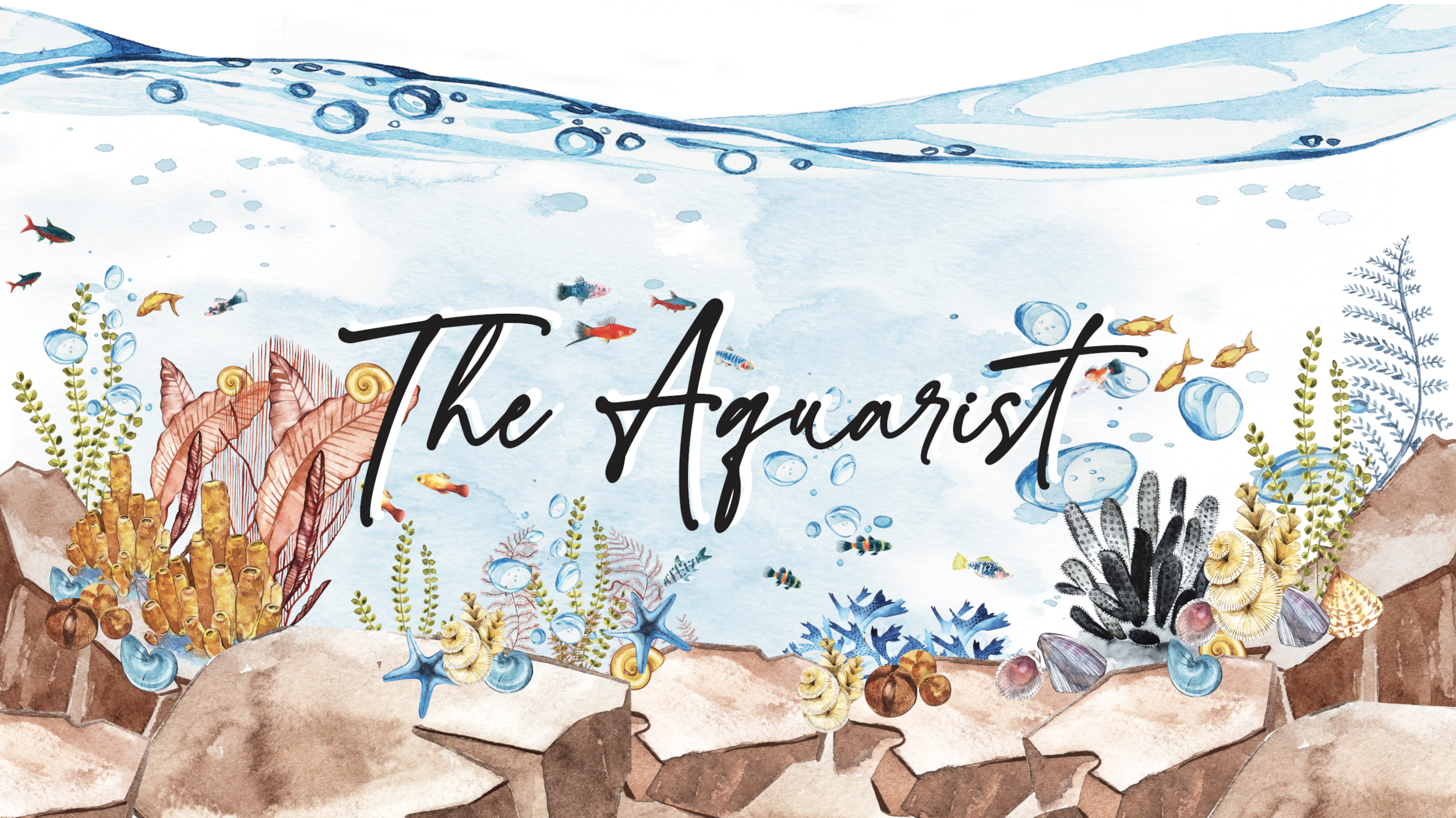 The Aquarist Banner The Aquarist Banner